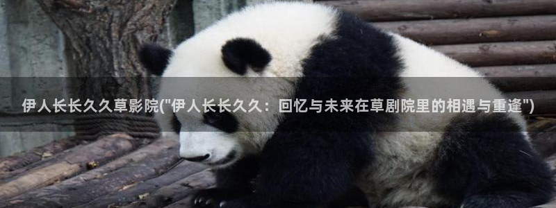 青青伊人福利视屏