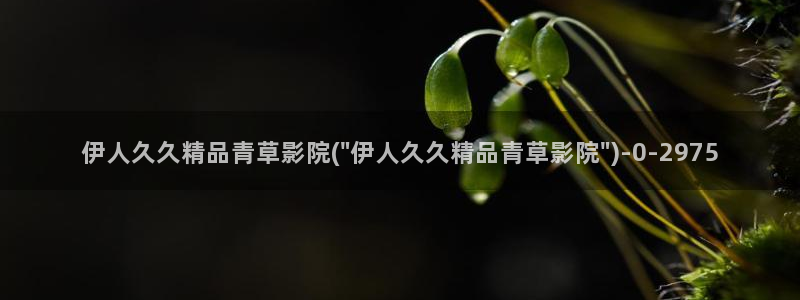 伊人熟女视屏：伊人久久精品青草影院(\