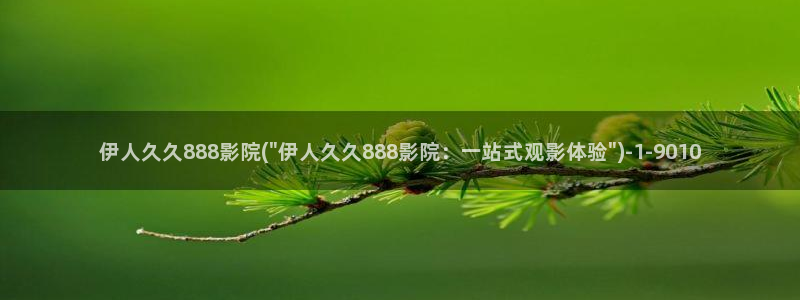 伊人 综合网视频看不了：伊人久久888影院(\