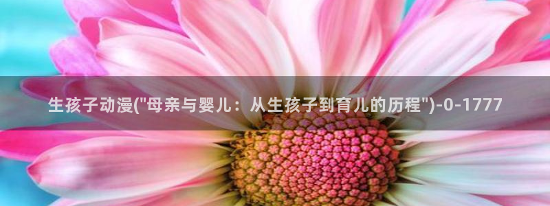 看动漫的网站