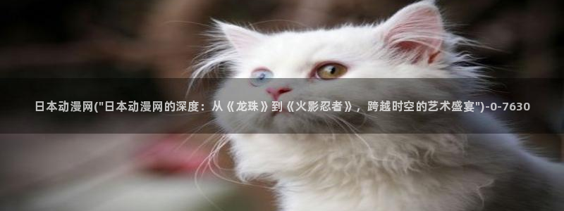 黄色动漫
