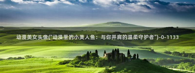 全职高手动漫免费观看